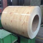 Hot Dipped Ppgi Galvalume Steel Coils Strip Prepainted Aluzinc Dx51d Colorful