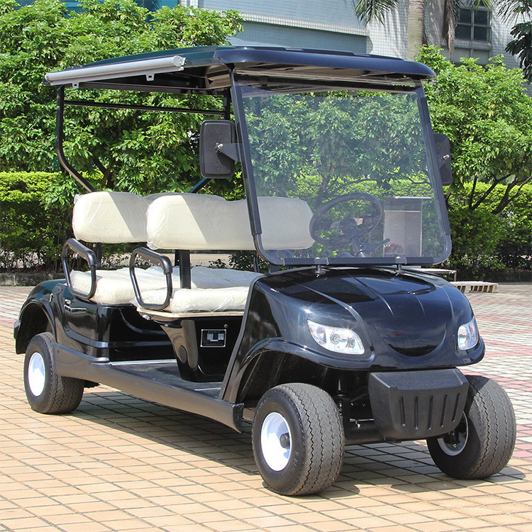 Mini Electric Vehicle 2 Seater Lifted Buggy Golf Carts Lead Acid Lithium Battery Powered