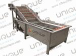 Industrial Fruit and Vegetable Bubble Washing Machine for Lemon Pineapple