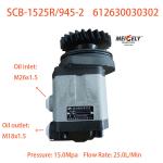 Hot Sale Steering Pump 612630030302 Fit For Qingdao FAW Shaanxi Beiben