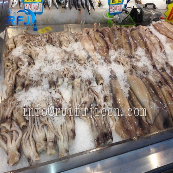 1-60t/24h Industrial Tube Flake Ice Making Machine 380V/50HZ With CE Certification