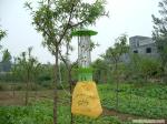 Solar Insect Killing Lamp for farm