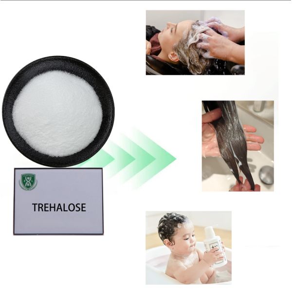 Moisturizing Agent Stabilizer And Protector Raw Material Trehalose