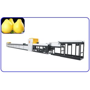 Wholesale 380V Automatic Fruit Sorting And Grading Machine from china suppliers