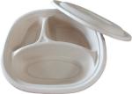 biodegradable disposable paper pulp takeaway food container lunch box