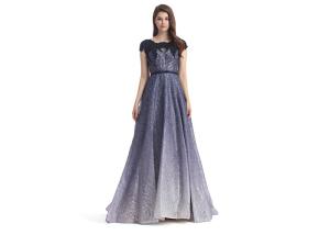 Wholesale Sweep Train Formal Ladies Evening Dresses Short Sleeve U - Neck Style from china suppliers
