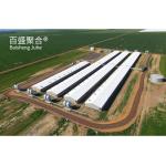 Customized Heavy Duty Steel Frame Pig House for Prefabricated Poultry Farm