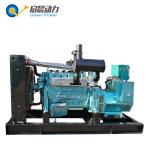 2MW gas generator