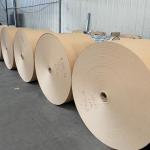 Heat Resistant Wood Pulp PE Coated Kraft Paper 150-350gsm Glossy Matte Finish