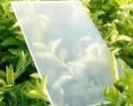 Customized Size/Clear/Solar/Float Photovoltaic Glass for Curtain Wall & Building
