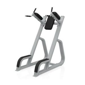 Wholesale Online Bodybuilding 1240*720*1600mm Leg Raise Machine from china suppliers