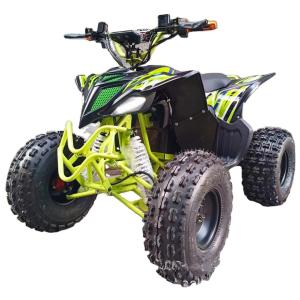 Wholesale Hot 750w 1000w Electric Moto Buggy Car for Kids and Adults 60v 4x4 Quad Side by Sides from china suppliers