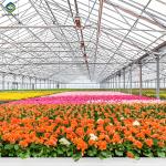 Glass Film Polycarbonate Greenhouse Flower Greenhouse With Intelligent Systems