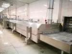 ODM Iqf Machine For Fruits Vegetables Freezer Fresa Strawberry Cooling Quick