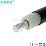 Multi-Core Medium Voltage Armoured XLPE Insulated Power Cable for Third Party