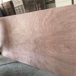 Furniture 610x2440mm Moisture 8% Sapele Faced Plywood