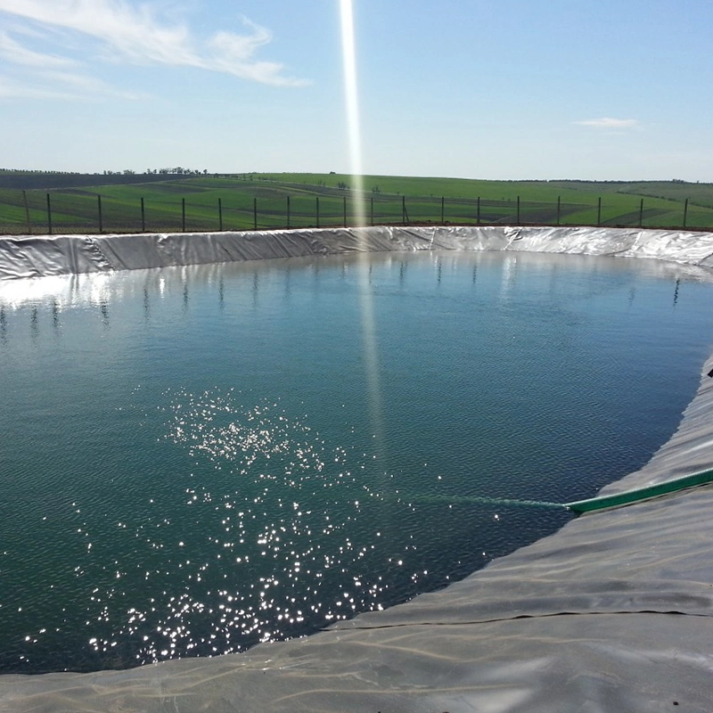Anti-Seepage Waterproof Geomembrane Dam Pond Liner HDPE LLDPE LDPE 0.5-2mm Geomembrane Price