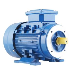 Wholesale 3 Phase Squirrel Cage Induction Motor 1hp 2 Hp 20 Hp 11kW B3 from china suppliers