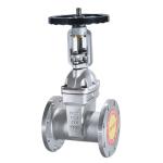 304 Stainless Steel Soft Seal Flange Gate Valve Z41X-16P for Water Pump Fire