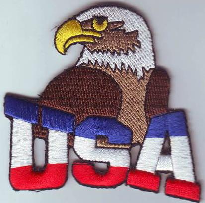 American-flag-Eagle-Head-Bird-Patch-Iron-Embroidered-Applique-Sew-Badge-DIY