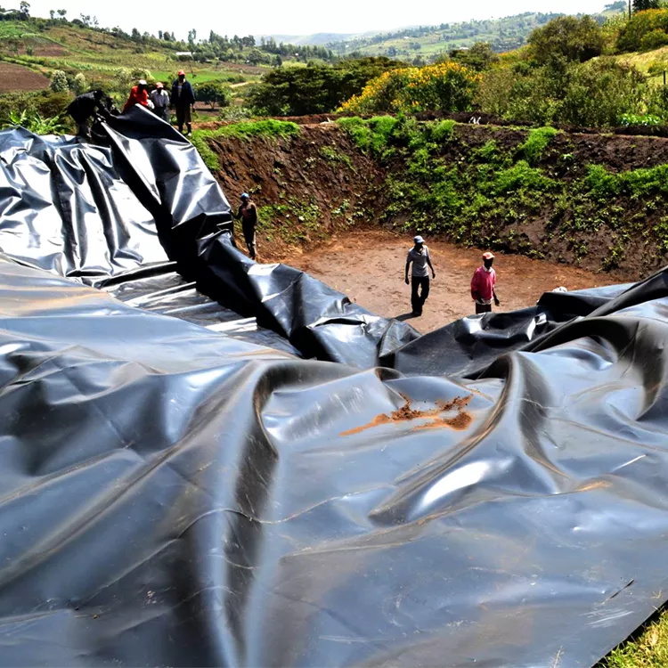 Double Smooth Surface 1mm HDPE Geomembrane for Fish Farming Agricultural Pond Liners