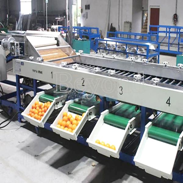 Lifting Apple Grading Fruit Processing Equipment For Classifying