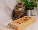 Hunting Game Kitten Brain Interactive Pet Toys Cat Food Puzzle Feeder