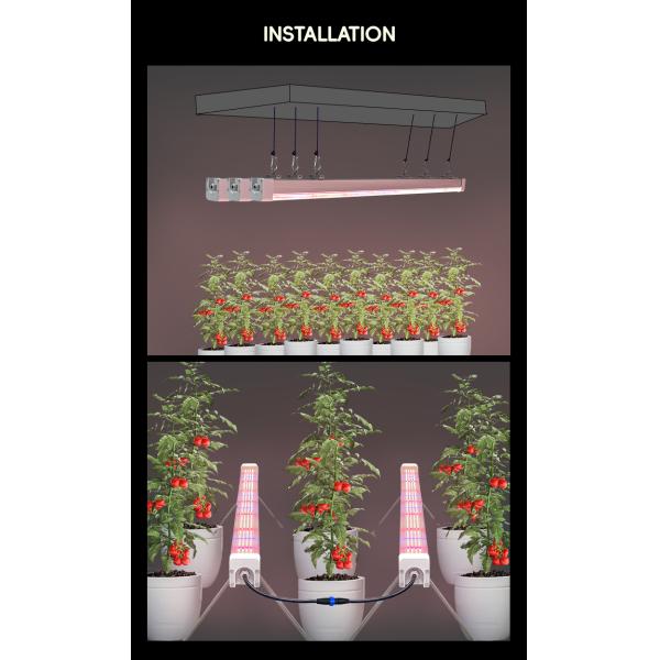 Professional Hydroponic Vertical Farm Full Spectrum 100 Watt 120W Inter Under Canopy Led Grow Light with Samsung Chips