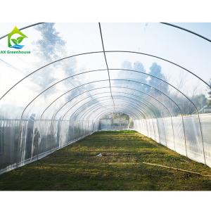 Wholesale Agricultural Polytunnel Commercial Hydroponic Greenhouse For Mushroom Cultivation from china suppliers