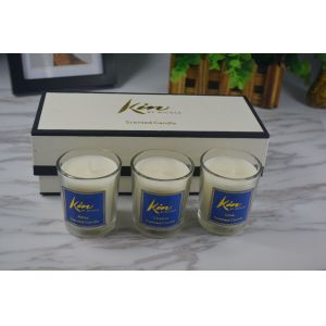 Home Decor Scented Soy Wax Candle With Amber / Sage And Citrus Fragrance