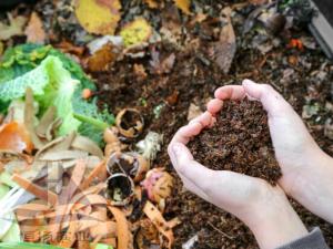 Wholesale Food Wastes To Organic Fertilizer Plant Capacity 0.4-30t/h from china suppliers
