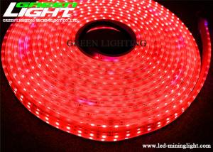 Wholesale 576LM DC36V Flexible underground LED Strip Light SMD5050 Explosive Proof from china suppliers