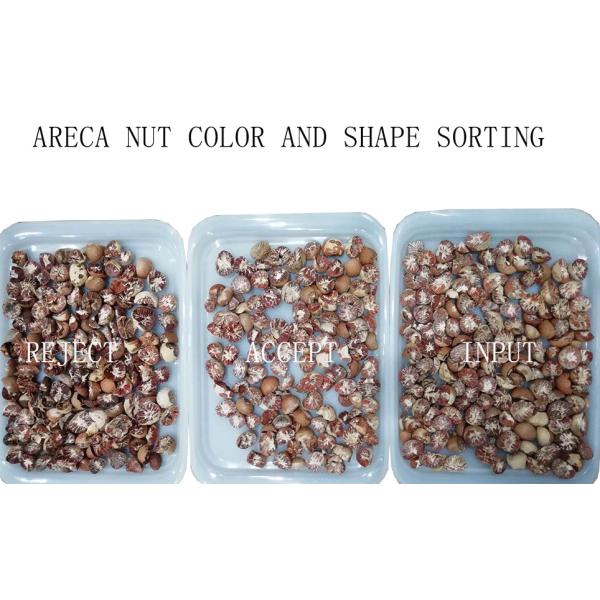 CCD LED Peeled Peanut Nuts Color Sorter 5 Chutes 320 Channels