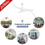 Low Noise Remote Control Ceiling Fan Light for Bedroom Decoration Energy Saving