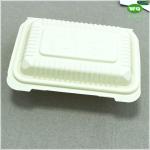 7x5 Inch Biodegradable Bioplastic Hinged food boxes,natural plants eco-friendly