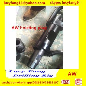 Wholesale China made hot good quality AW Hoisting Plug with good price from china suppliers