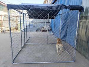 Wholesale Chain Link Steel Dog Kennel Outdoor Enclosure Exercise Pen Run With Cover from china suppliers