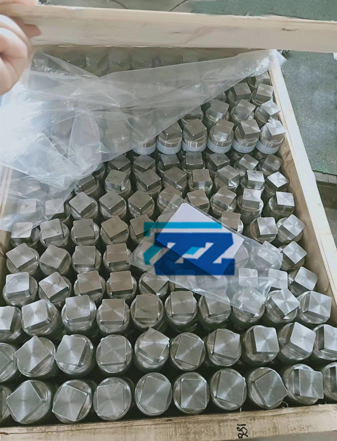 Square Head Stainless Steel Threaded Pipe Fittings Threaded Plug 304 BSP ASME B16.11