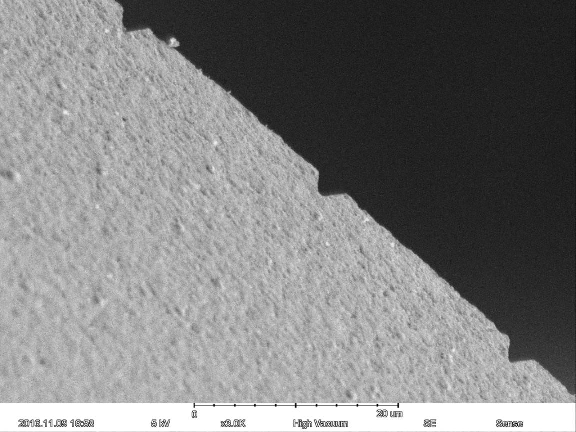Magnification Max 150000X Scanning Electron Microscope 5nm Resolution EDS BSE