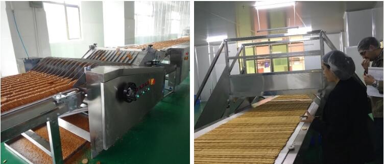 Schneider Transducer 1300mm Width Biscuit Stacking Machine