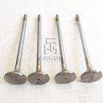 Inlet Valve And Exhaust Valve 04903005 04900685 0490 3005 0490 0685 4903005 For
