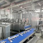 Bag Tomato Sauce Cooling And Drying Production Line