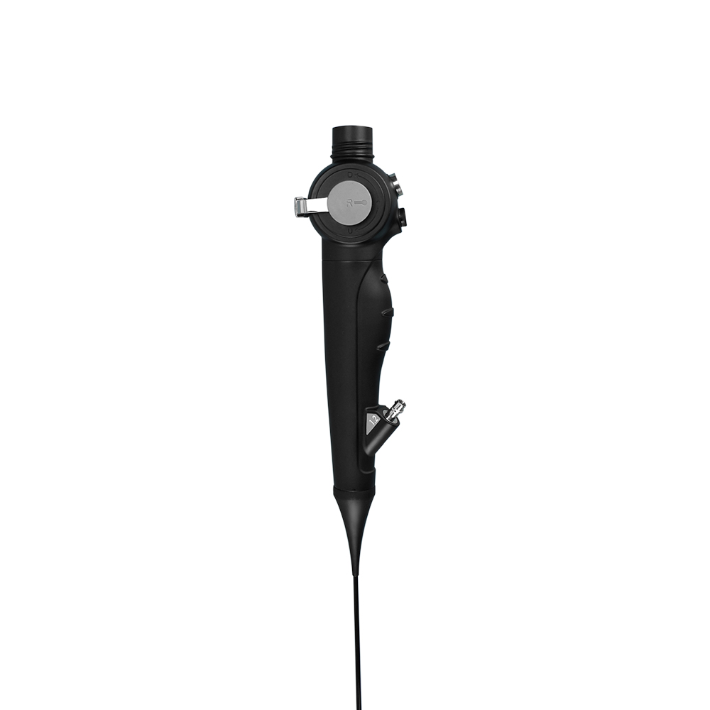 Portable Flexible Endoscope Video Camera For Small Animal Gastroscope And Colonoscope