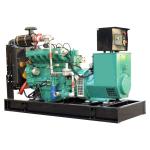 1500RPM/1800RPM Speed Coal Electrical Generator for 10kW-500kW Power Plant