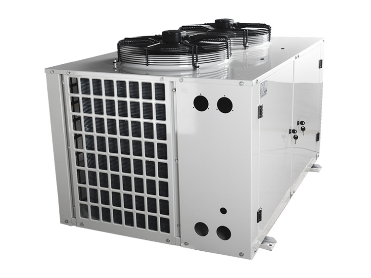 Low Temp Cold Storage Refrigeration Units Chiller Fit R22 Refrigerant