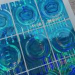 Waterproof and Temperature Resistant Anti Counterfeit Sticker - Trusted