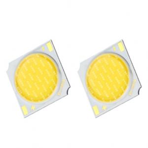 Wholesale 24 watt  1919 series led cob chips  white color  Mirror alu EPISTAR chip led cob for led downlight from china suppliers