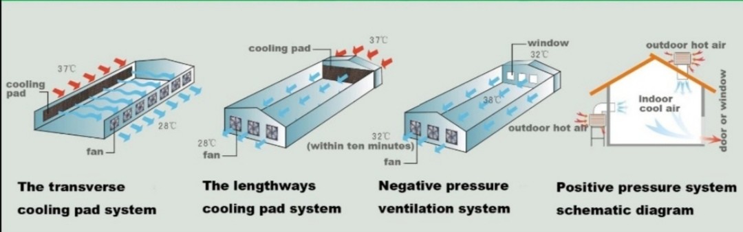 Water Cooling Pad Livestock Barn Ventilation Evaporative Filter Pads For Pig Farm