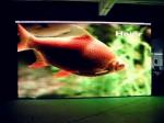 China Full Color HD P6 Outdoor waterproof Full Color Led Video Wall SMD 3535 Led
