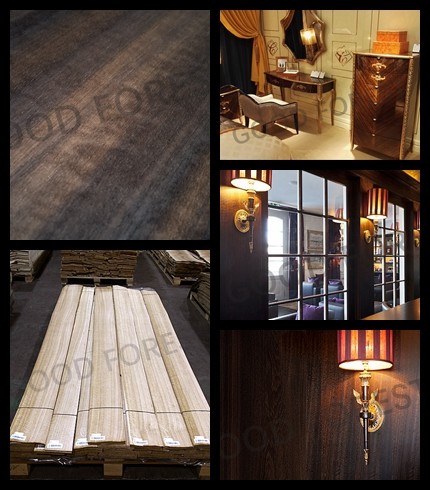 Natural Eucalyptus Wood Veneer Popular Vertical Grain Veneer Plywood